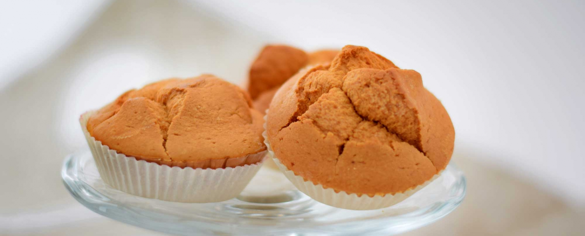 tort_wellfit-1900x767